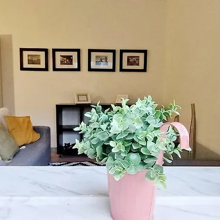 Lovling And Friendly With Terrace Appartement