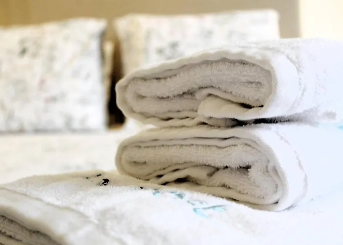 Lovling And Friendly With Terrace *